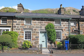 Ivy House